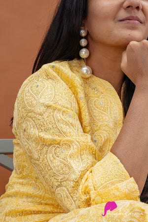 Jagmag Embroidered Kurti